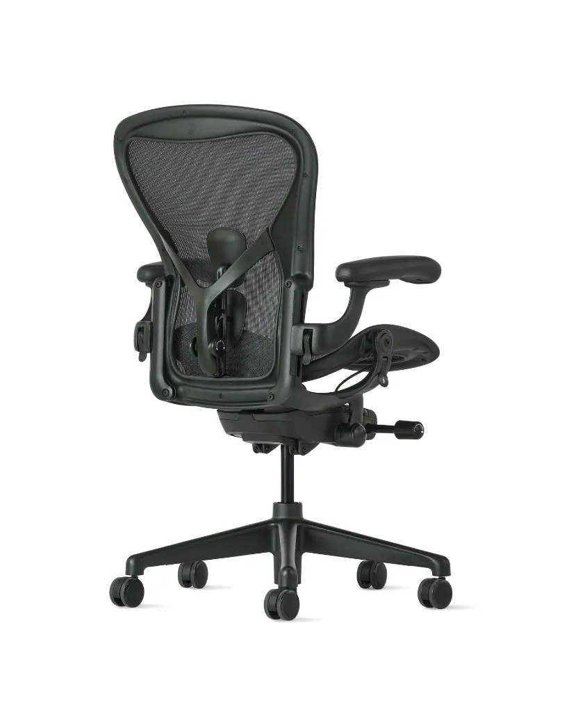 Aeron Jasper back angle R.webp