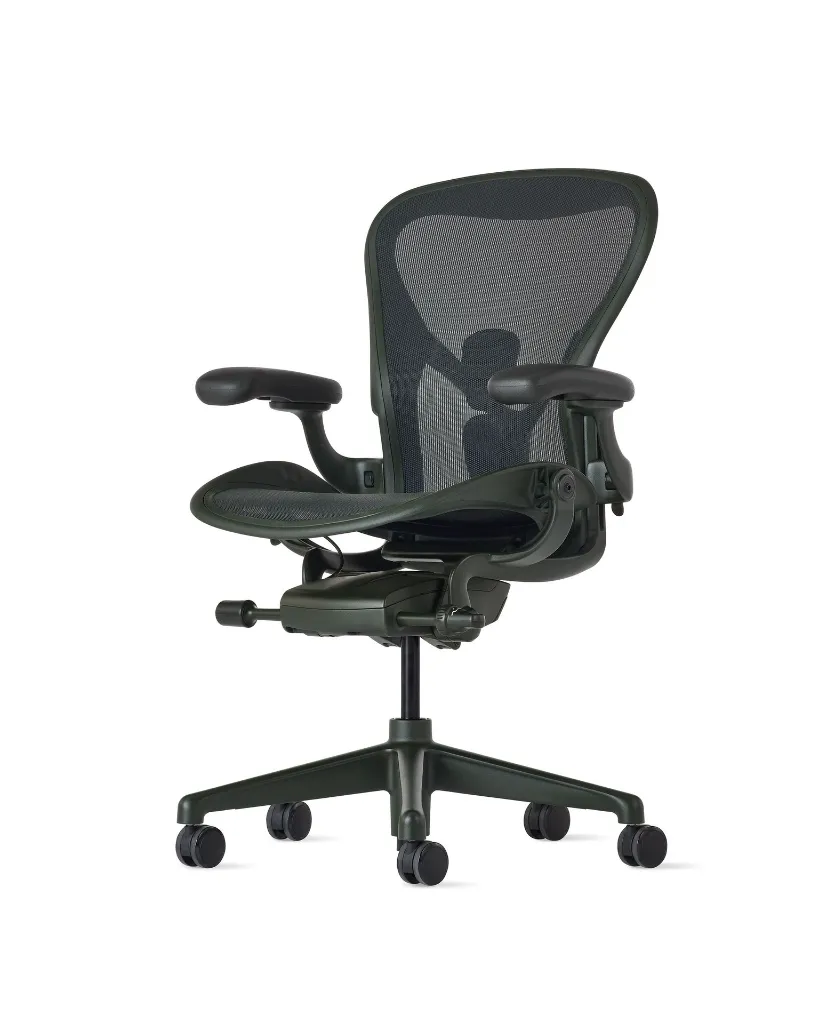 Aeron Jasper angle.webp