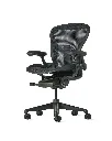 Aeron Jasper angle.webp