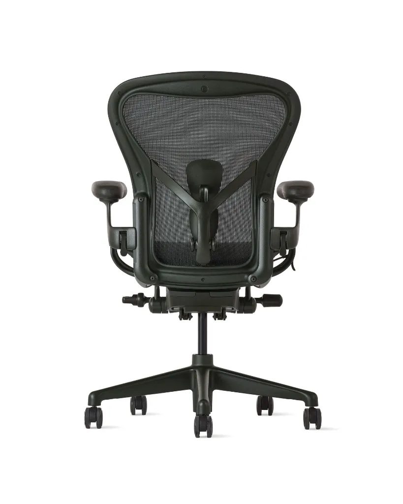 Aeron Jasper back.webp