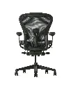 Aeron Jasper back.webp
