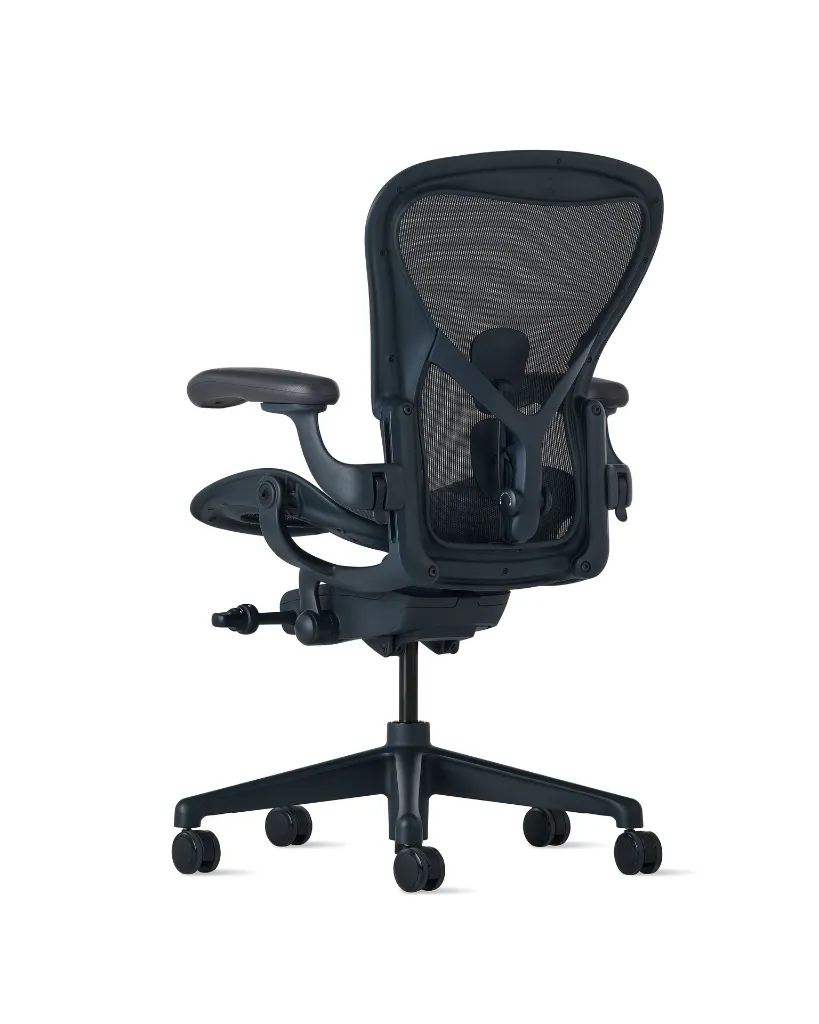 Aeron Nightfall back angle L.webp