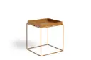 Tray Table